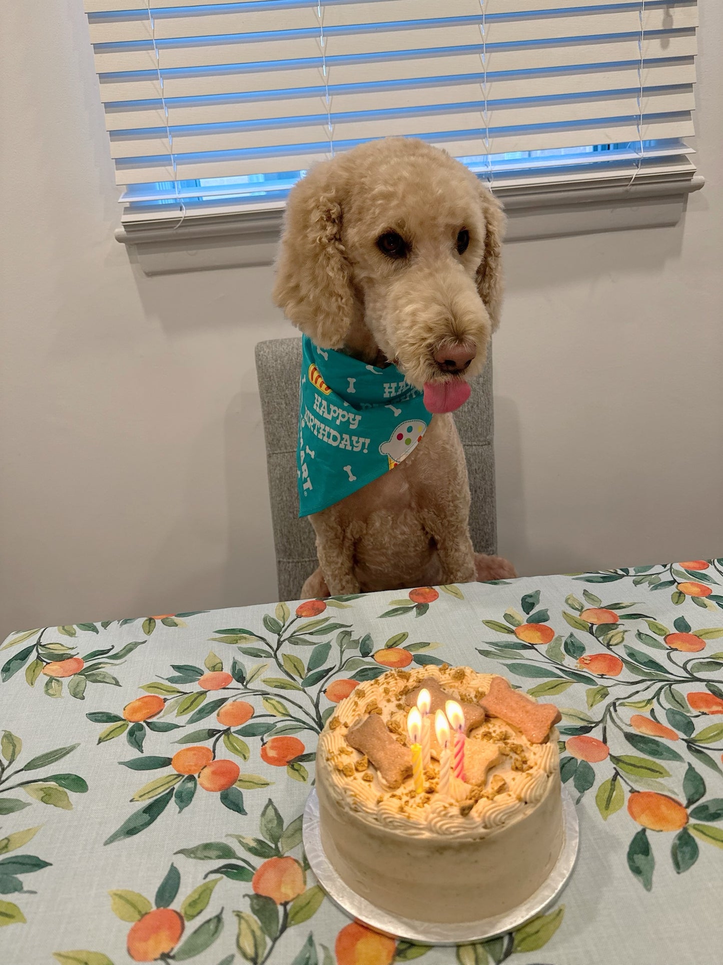 Dog Birthday Cakes