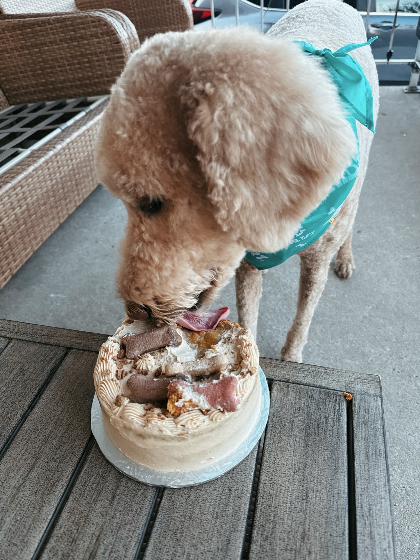 Dog Birthday Cakes