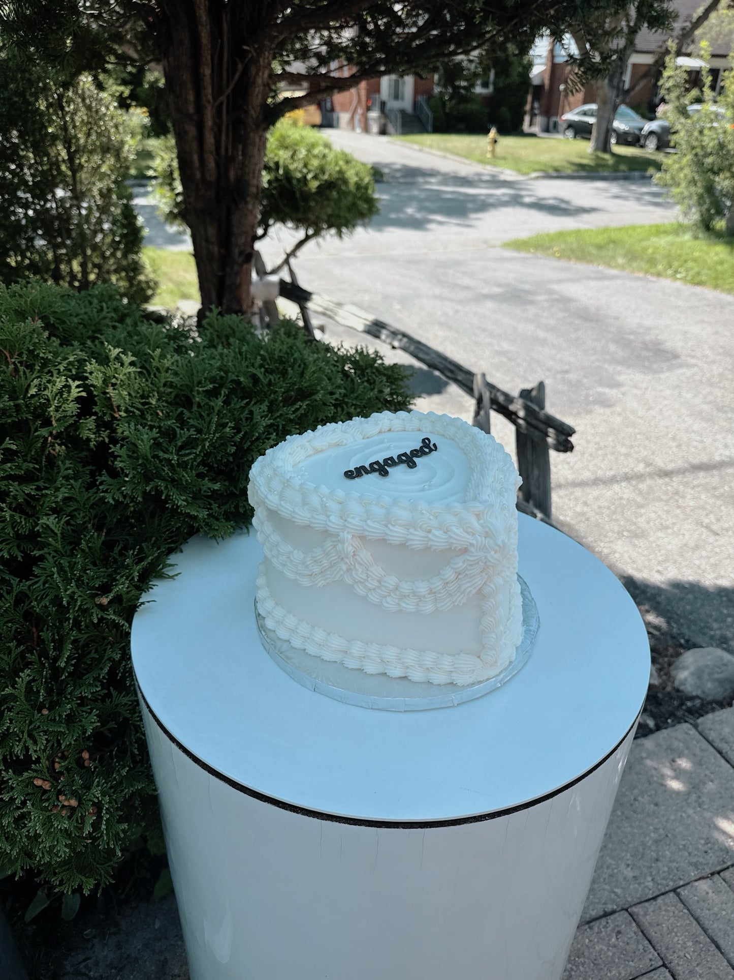 Wedding / Engagement Cakes