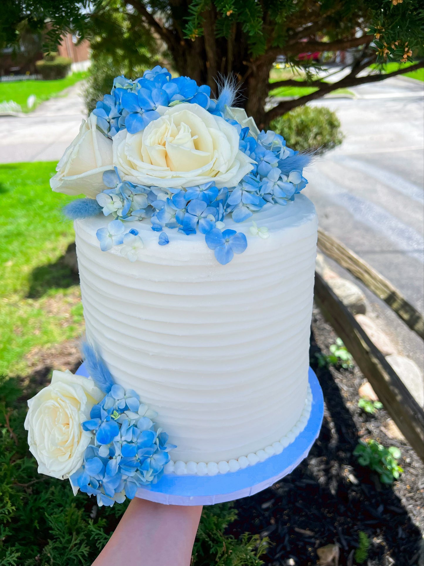 Wedding / Engagement Cakes