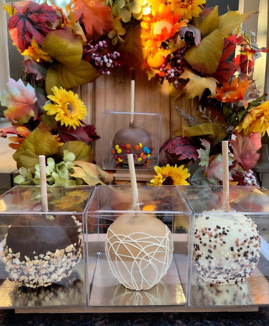 Chocolate Dipped Apples