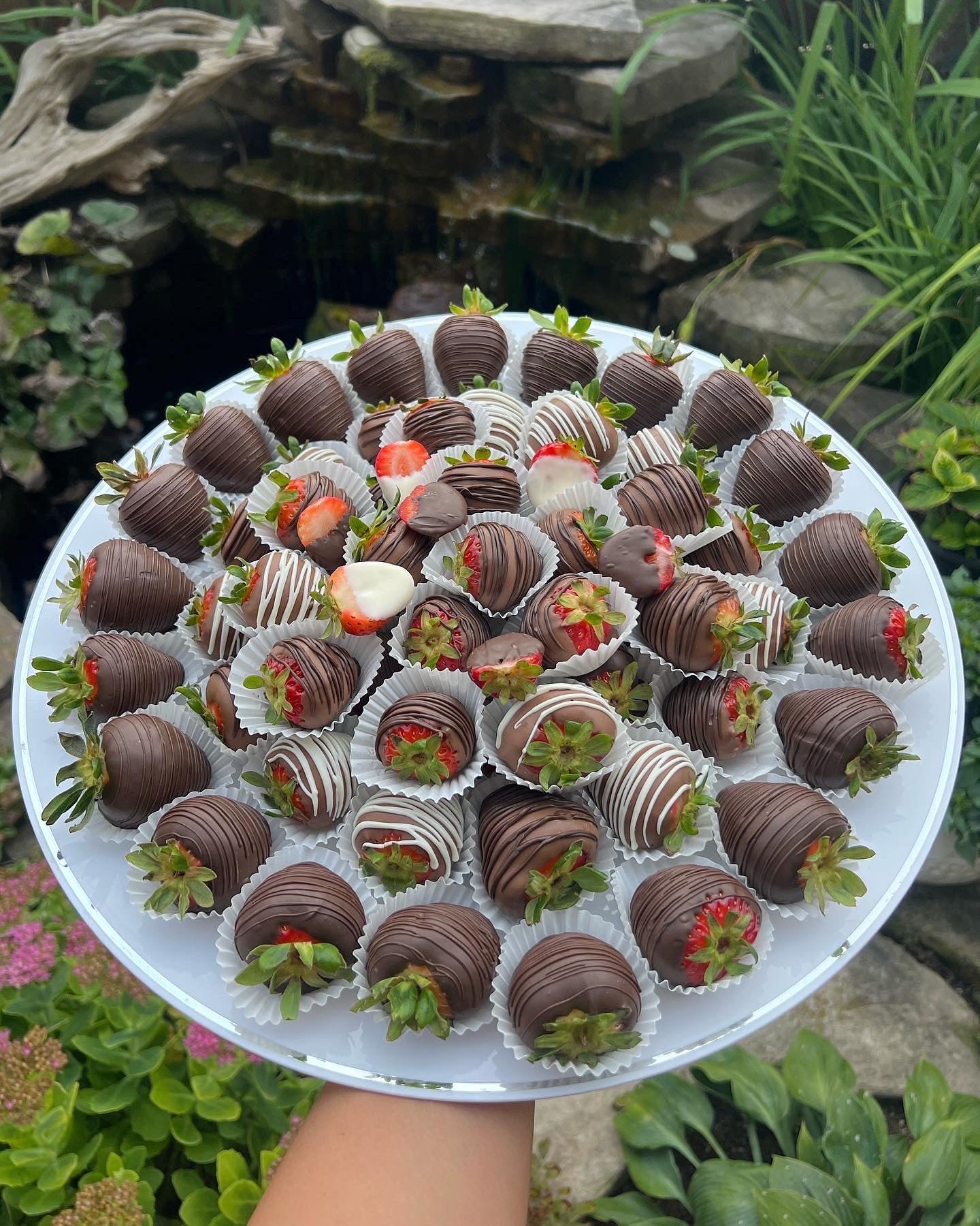 Fruit Party Platter