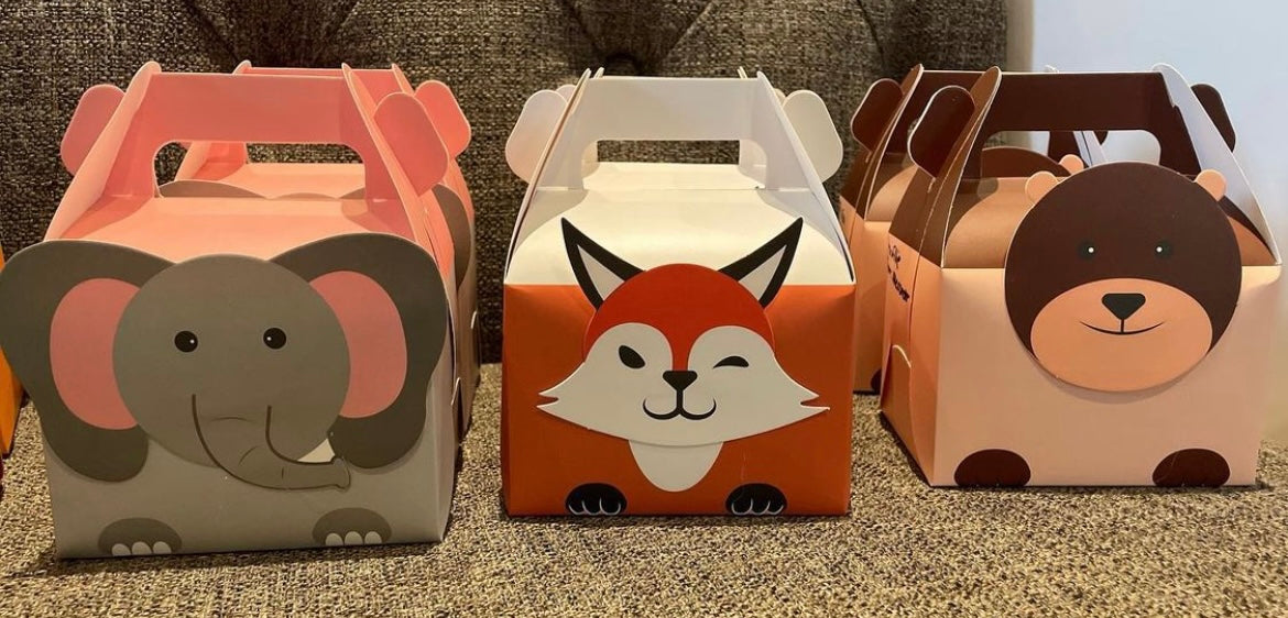 Loot Bags, Favors and Boxes