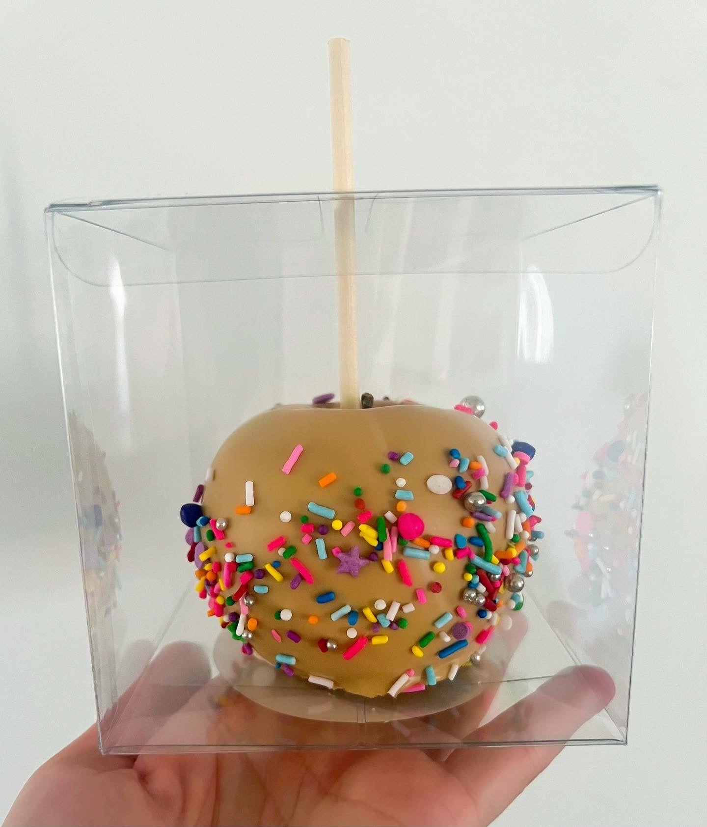 Chocolate Dipped Apples