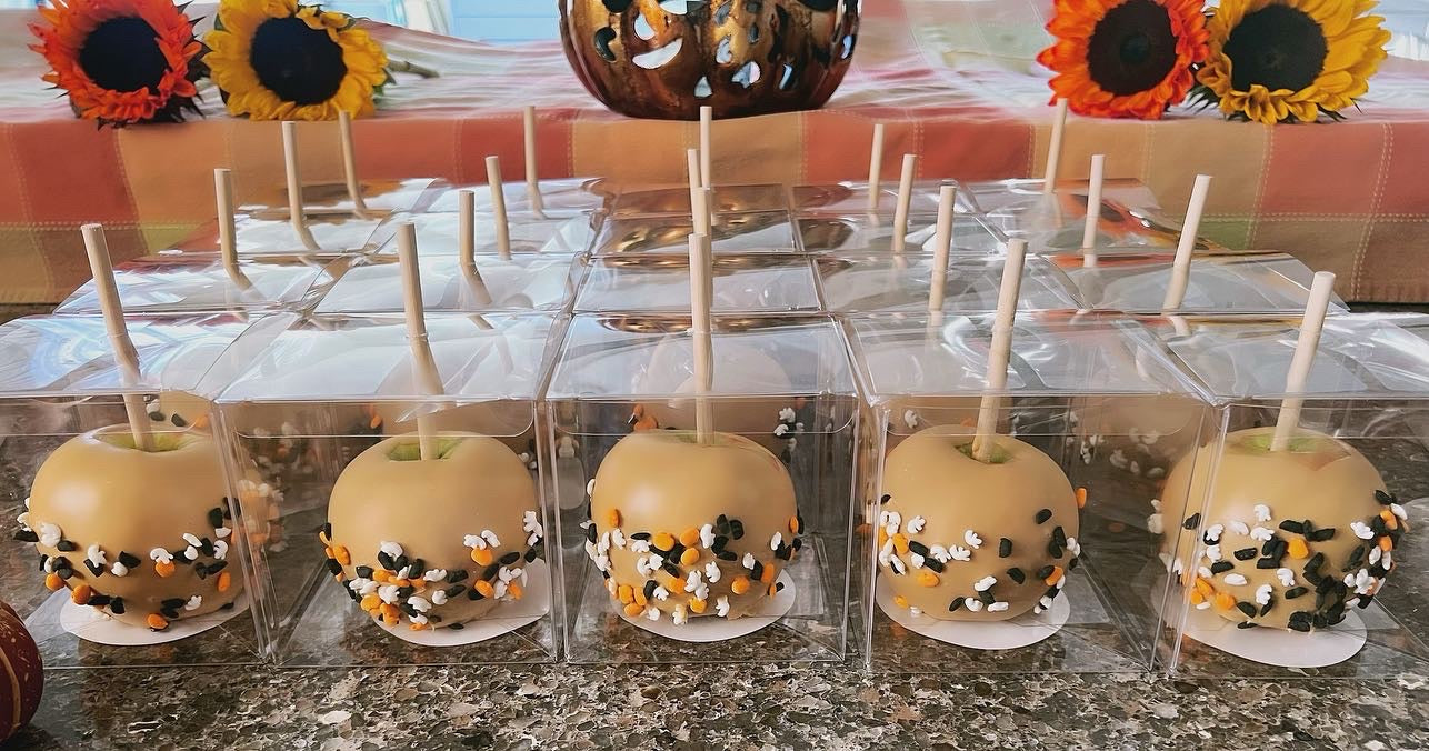 Chocolate Dipped Apples