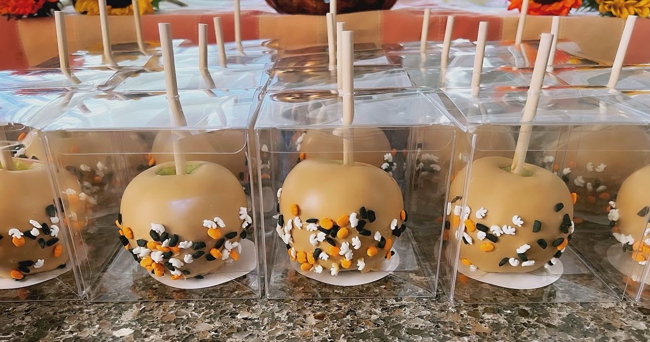 Chocolate Dipped Apples